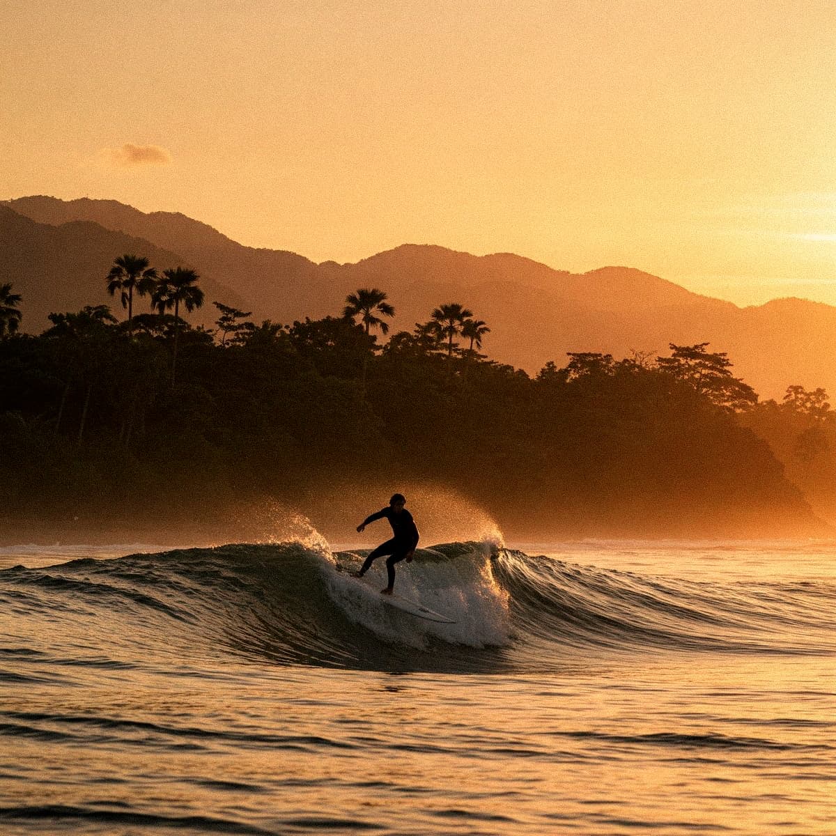 Surfer riding a wave at Itamambuca Beach with Atlantic Forest mountains at golden hour