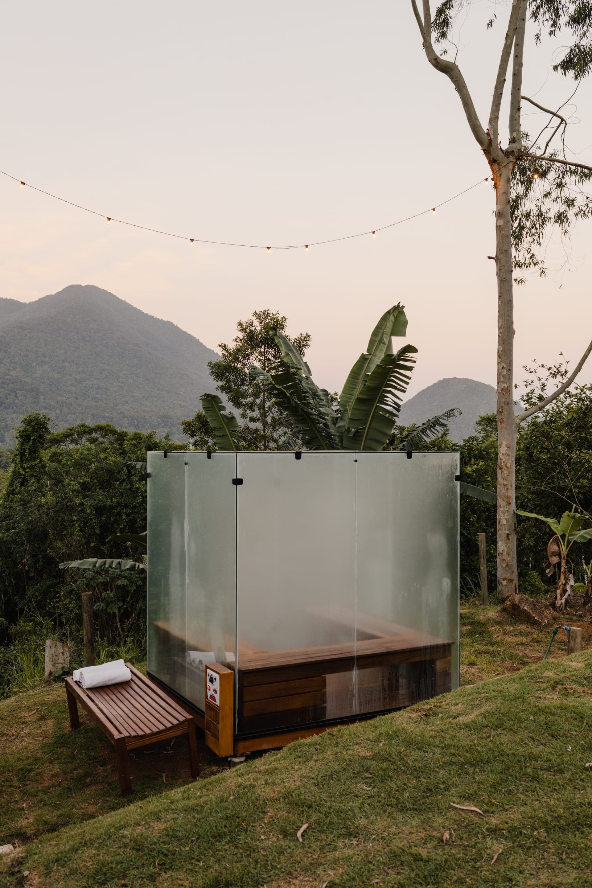 Atlantic Forest surrounding Momento Itamambuca — tropical vegetation and wildlife