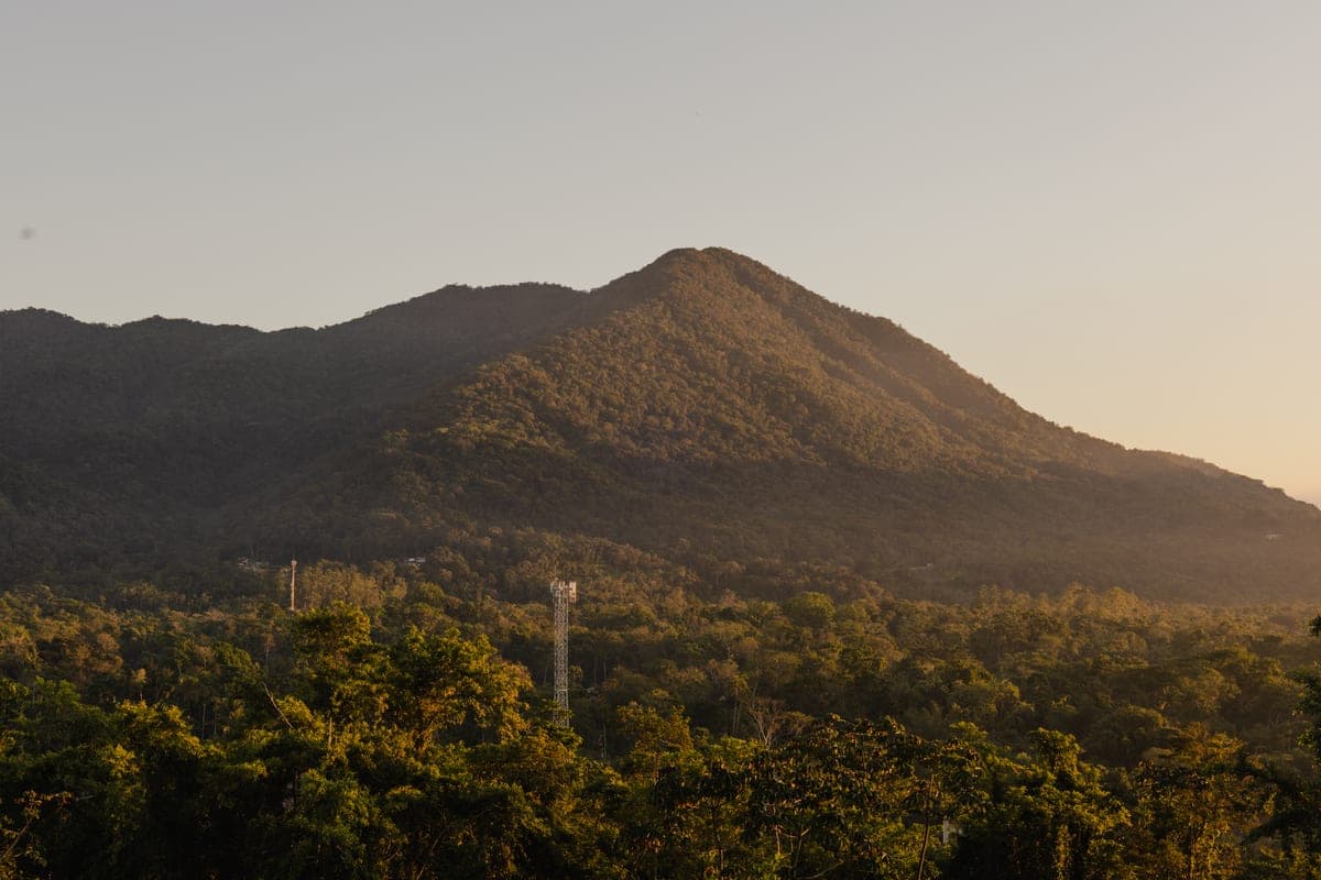 Aerial view of Itamambuca Beach, Ubatuba