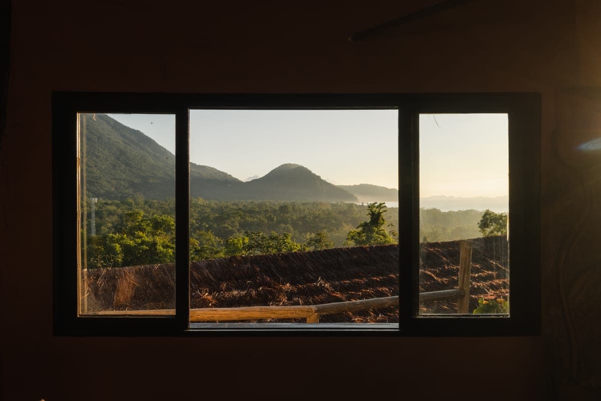 Atlantic Forest surrounding Itamambuca, Ubatuba